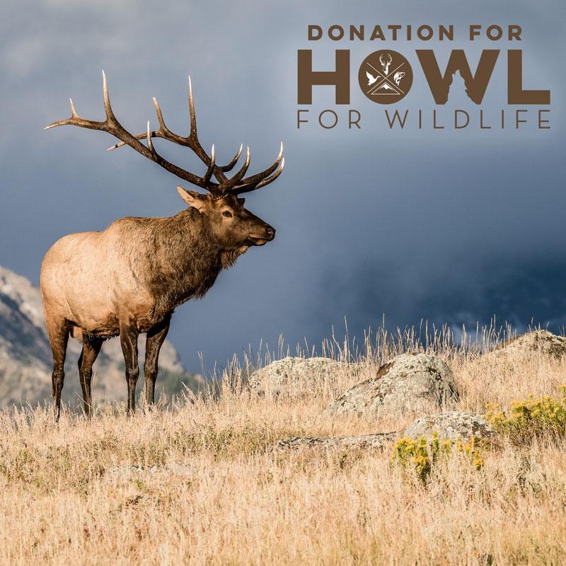 Donation