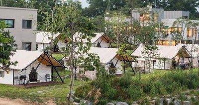Setting Up a Glamping Business