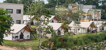 Setting Up a Glamping Business