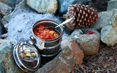 Elk Recipes for Hunters’ Feasts